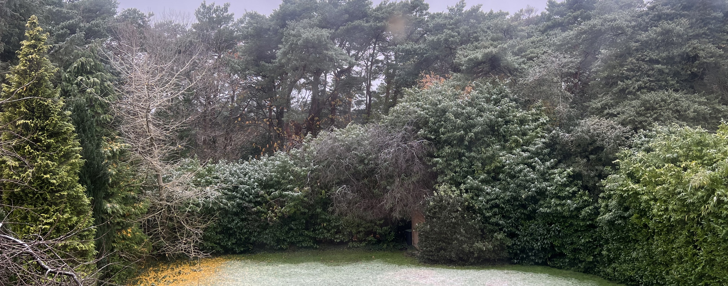 3659-St. Anthonys Road 6